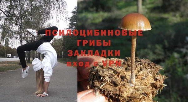 прущая мука Гусев
