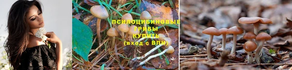 кокаин колумбия Шали