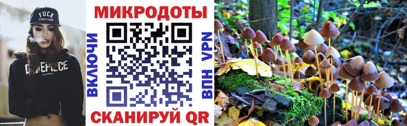 Псилоцибиновые грибы Magic Shrooms  где продают   Мезень 